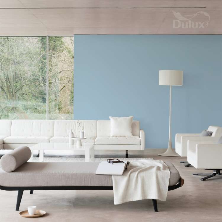 baby blue (2).jpg