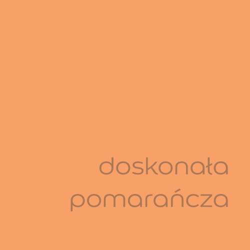Doskonała pomarańcza (1).jpg