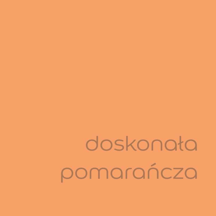 Doskonała pomarańcza (1).jpg