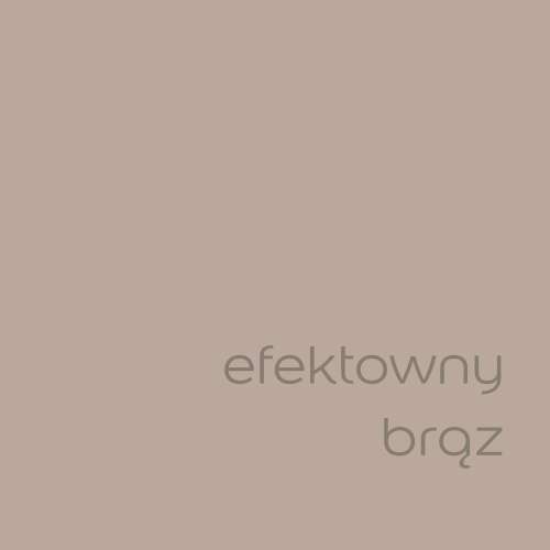 Efektowny brąz (1).jpg