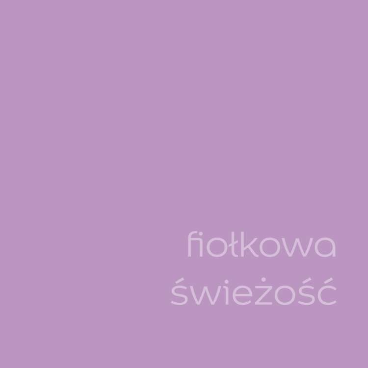 Fiołkowa świeżość (1).jpg