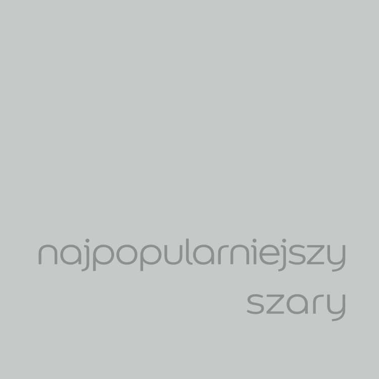 Najpopulrniejszy szary (1).jpg