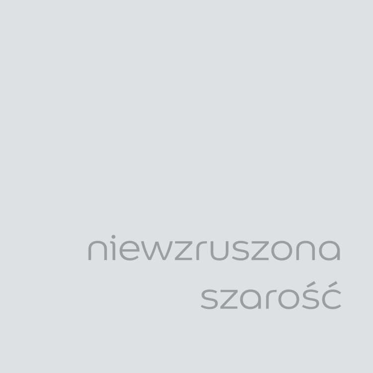 niewzruszona szarość (1).jpg