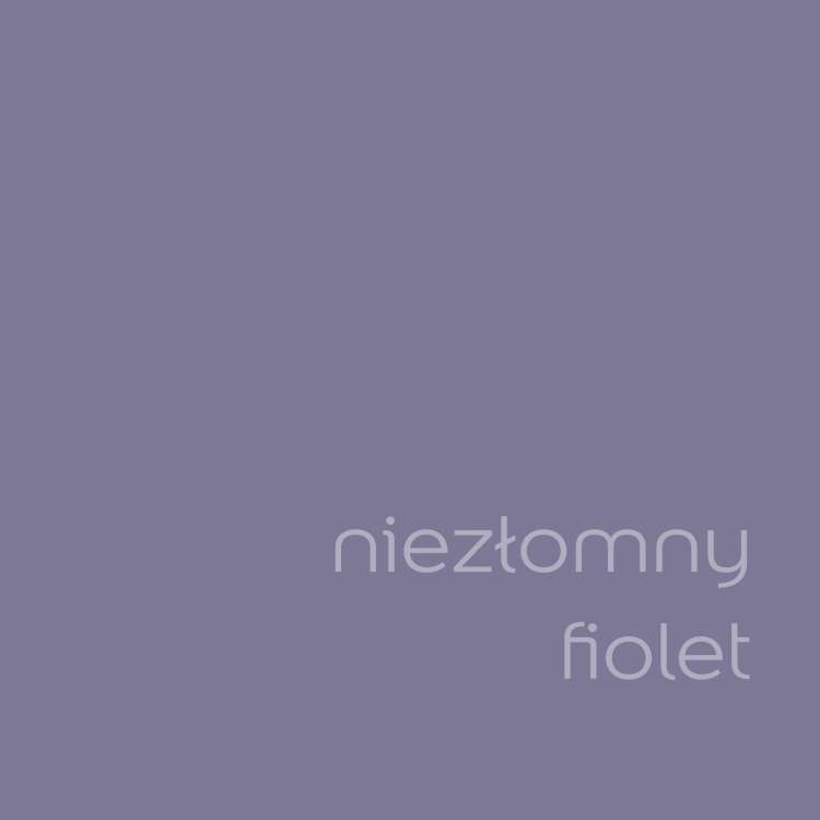 Niezłomny fiolet (1).jpg