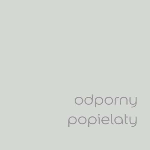 Odporny popielaty (1).jpg