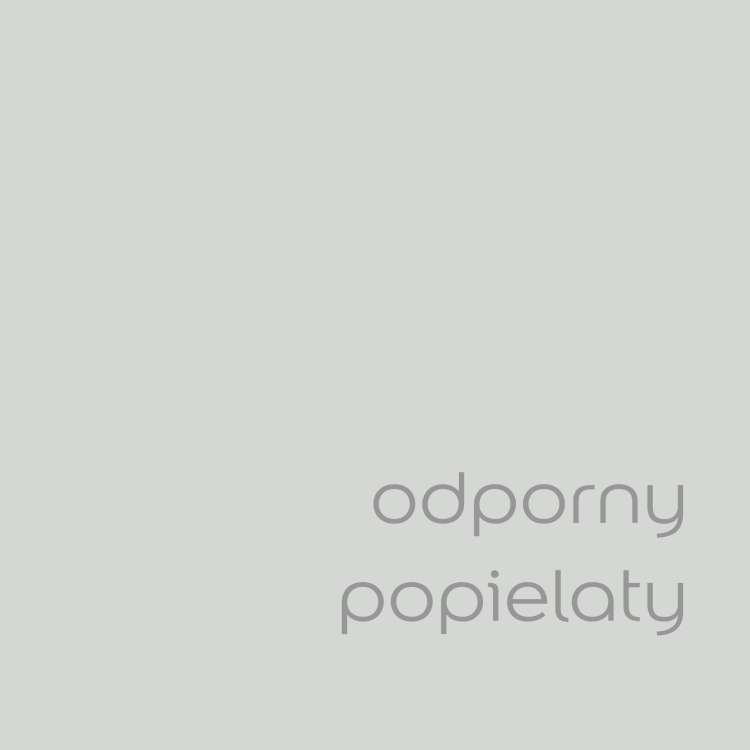 Odporny popielaty (1).jpg