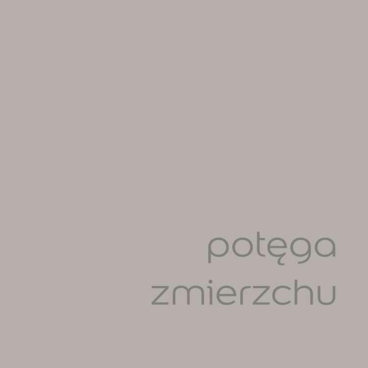 Potęga zmierzchu (1).jpg