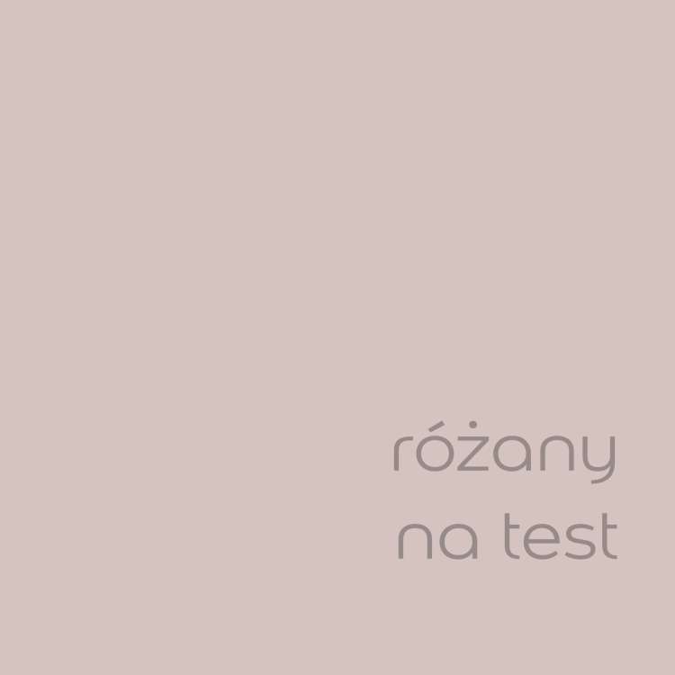 różany na test (1).jpg