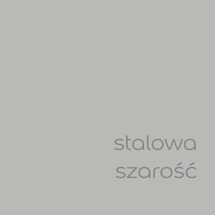 Stalowa szarość (1).jpg
