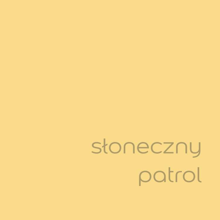 Słoneczny patrol (1).jpg