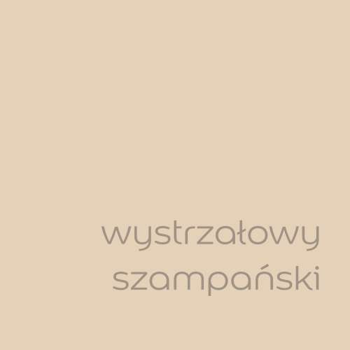 Wystrzałowy szampański (1).jpg