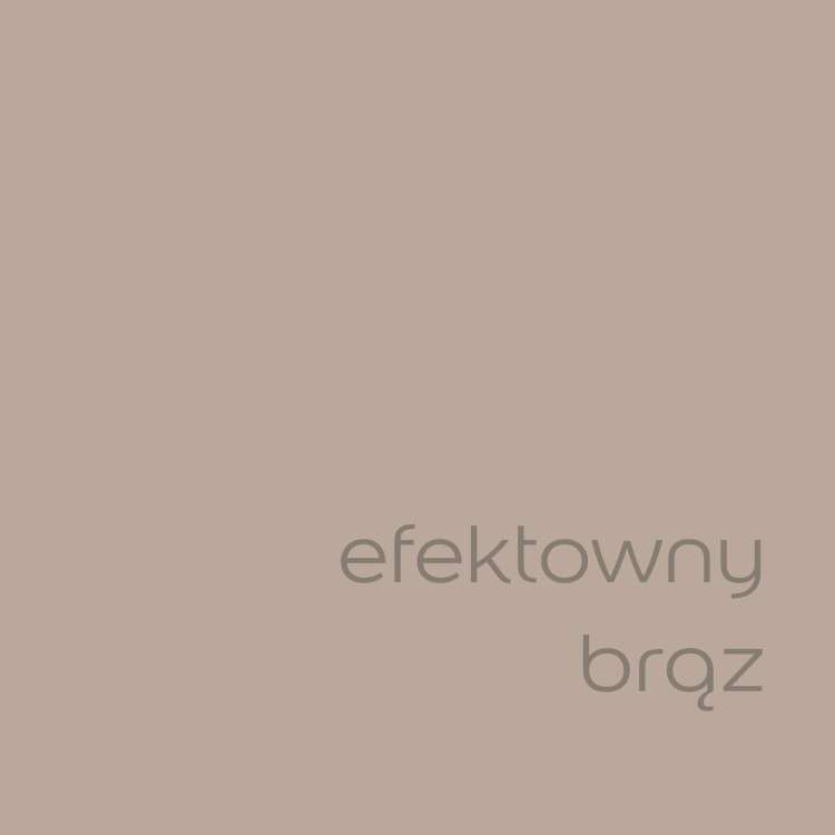 efektywny brąz (1).jpg