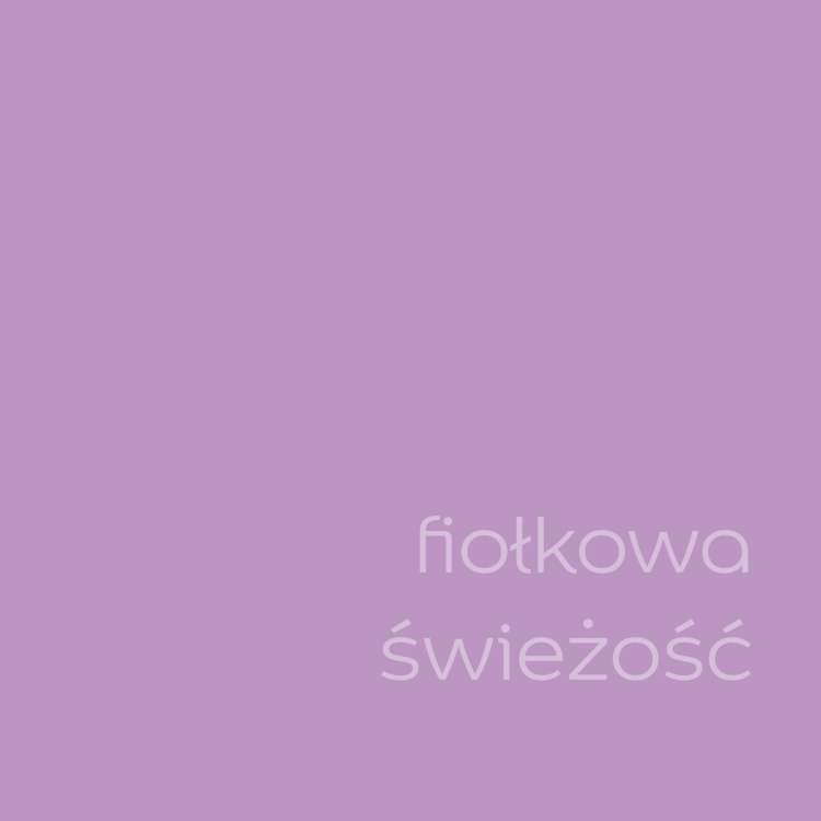 Fiołkowa świeżość (1).jpg