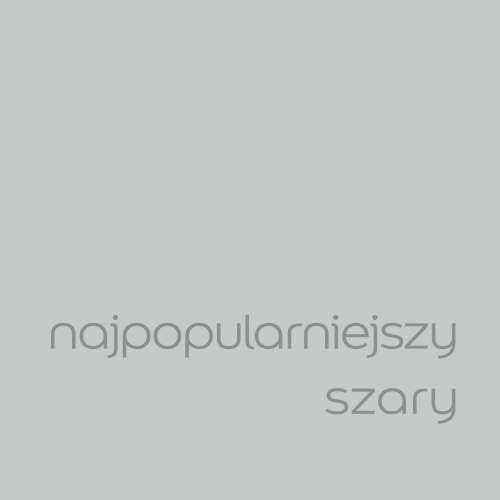 najpopularniejszy szary (1).jpg
