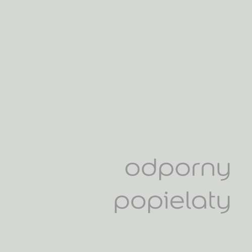 Odporny popielaty (1).jpg