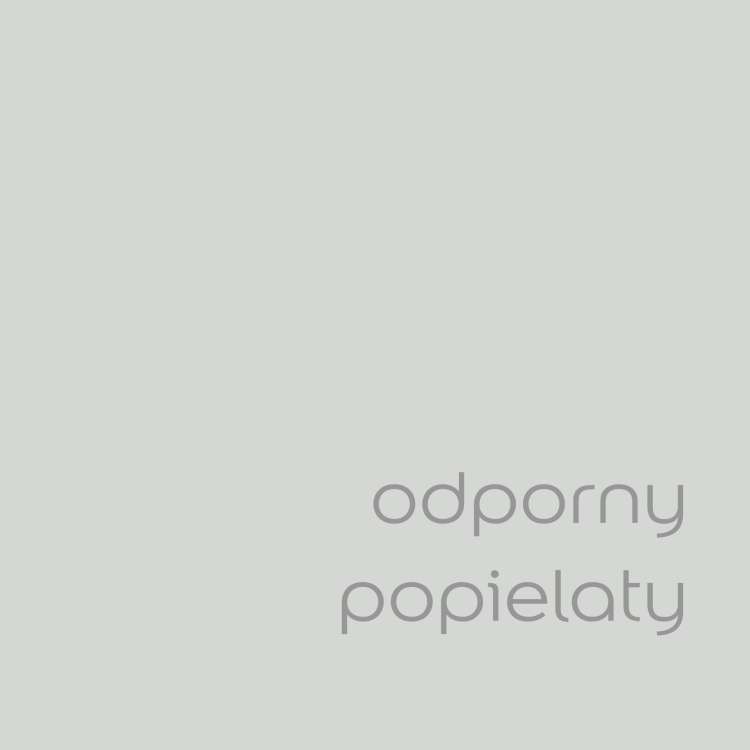 Odporny popielaty (1).jpg