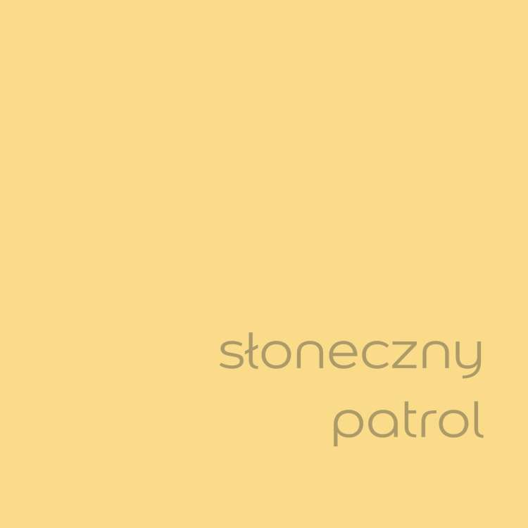słoneczny patrol (1).jpg