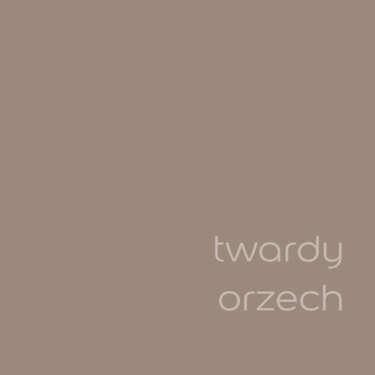 twardy orzech (1).jpg