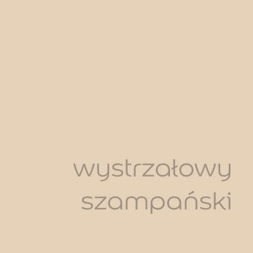 Wystrzałowy szampański (1).jpg