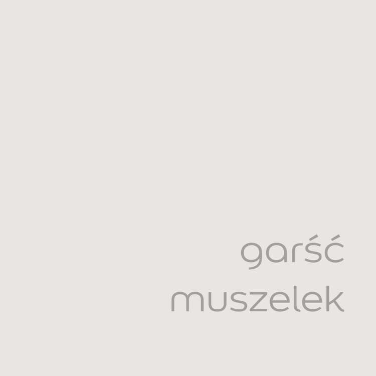 garść muszelek (2).jpg