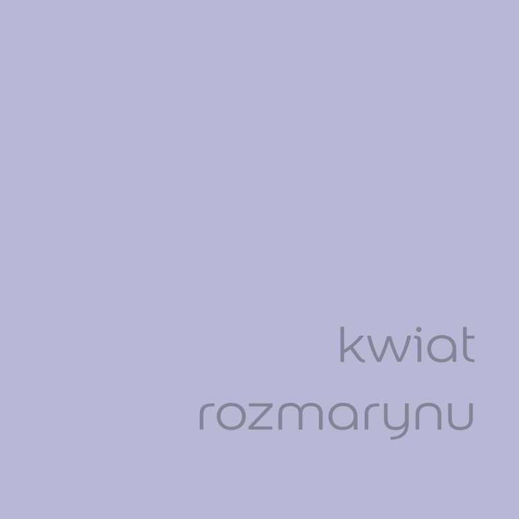 kwiat rozmarynu (2).jpg