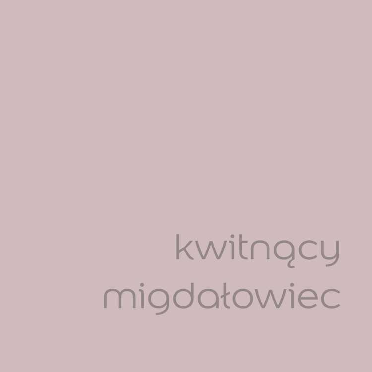 kwitnący migdałowiec (2).jpg