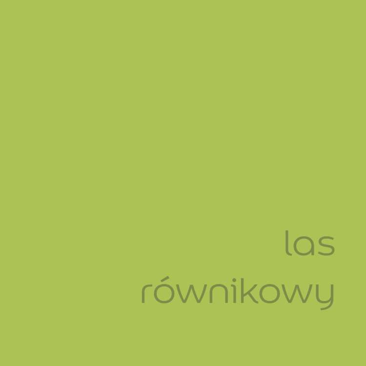 las równikowy (2).jpg