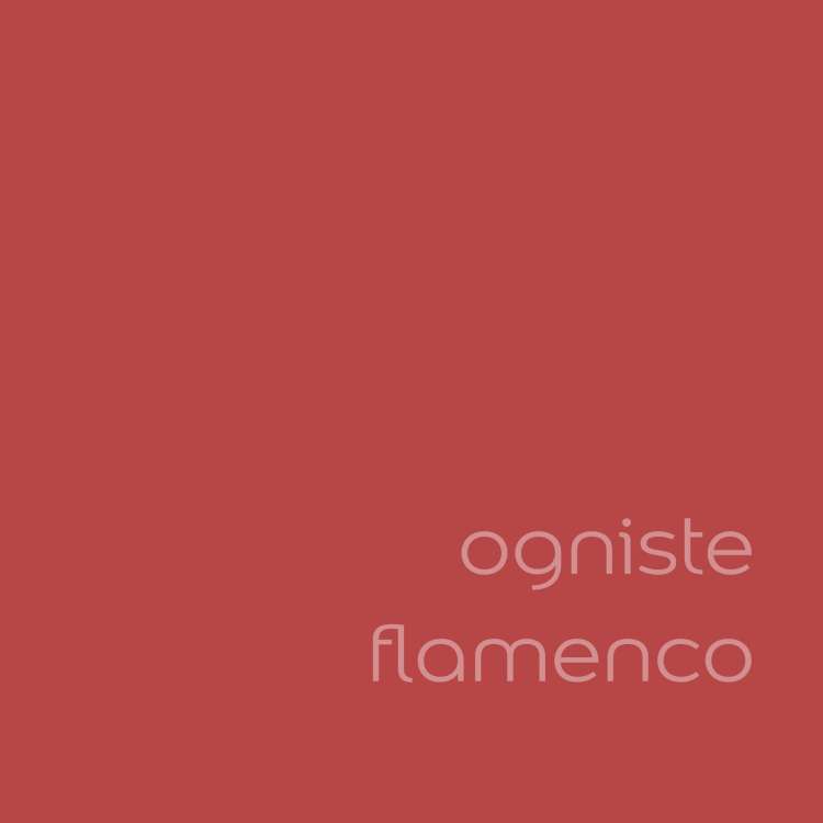 ogniste flamenco (2).jpg
