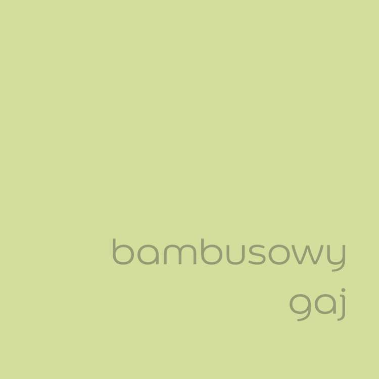 bambusowy gaj (2).jpg