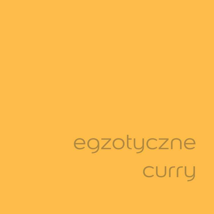 egzotyczne curry (2).jpg