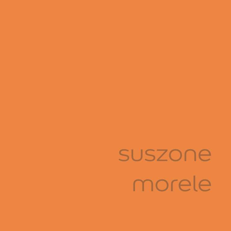suszone morele (2).jpg