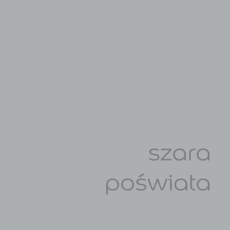 szara poświata (2).jpg