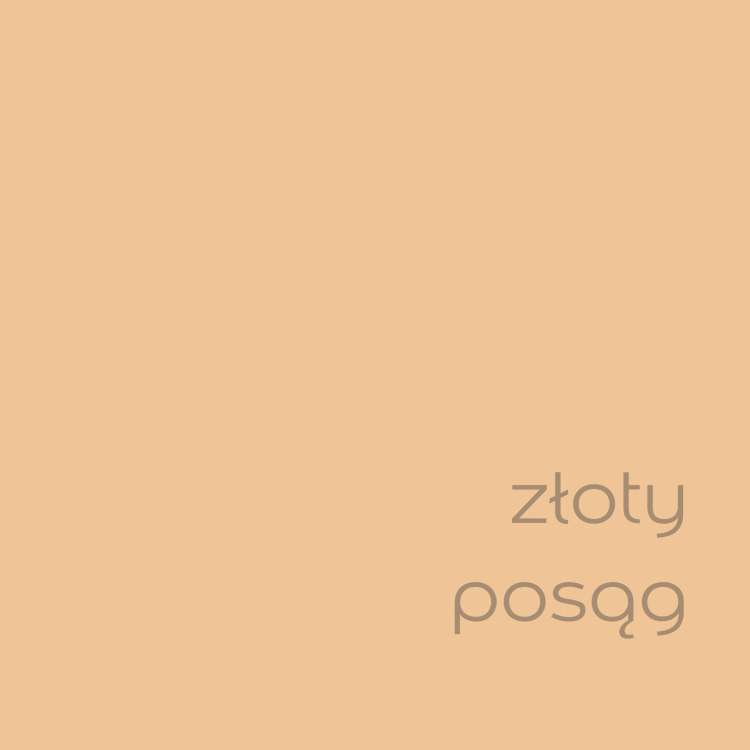 złoty posąg (2).jpg