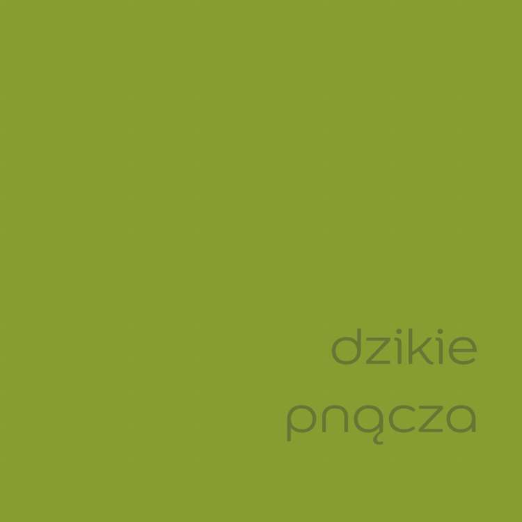 dzikie pnącza (2).jpg