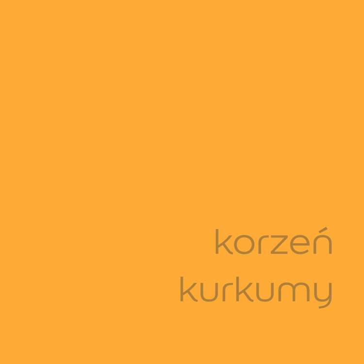 korzeń kurkumy (2).jpg