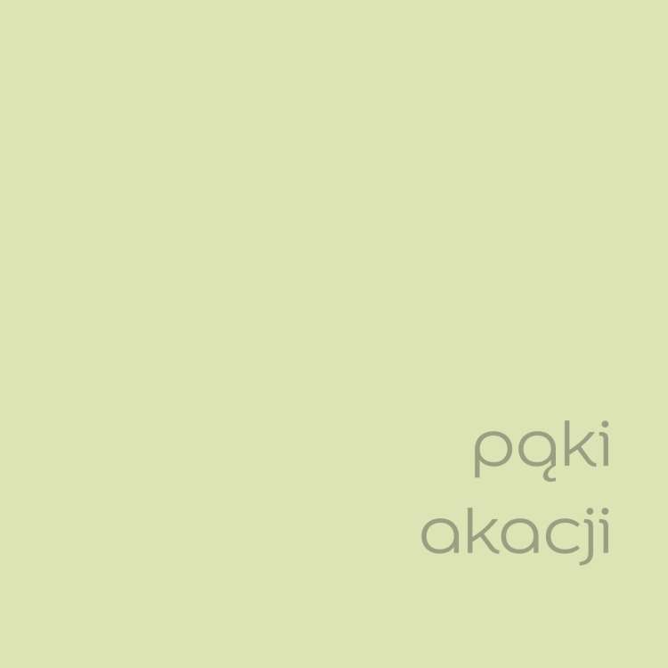 pąki akacji (2).jpg