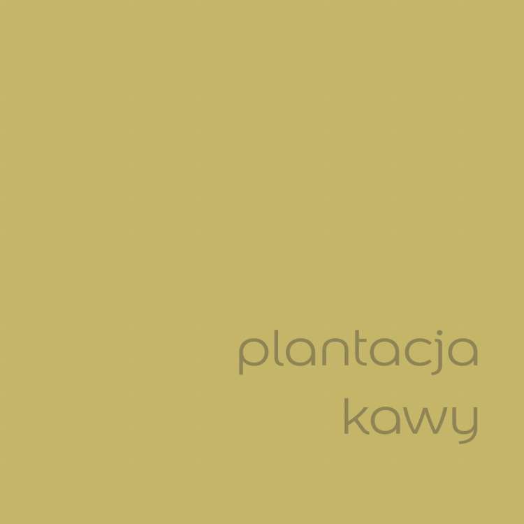 plantacja kawy (2).jpg