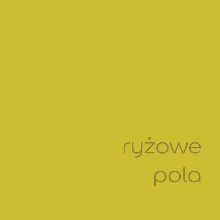 ryżowe pola (2).jpg