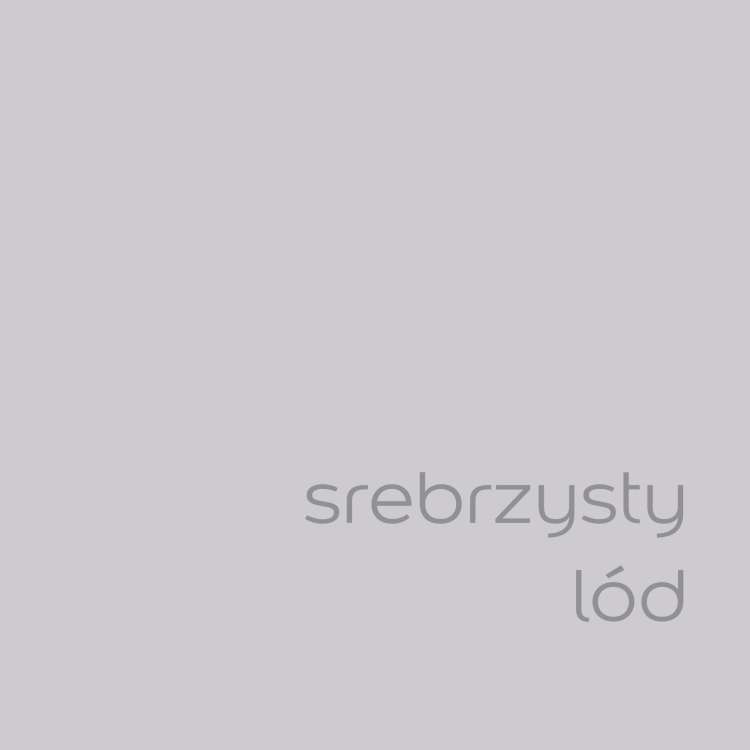 srebrzysty lód (2).jpg