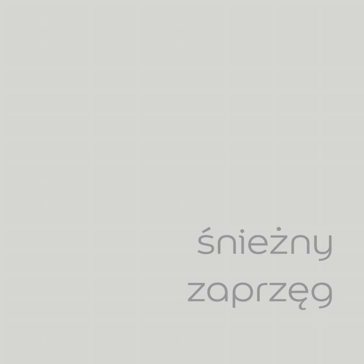 śnieżny zaprzęg (2).jpg