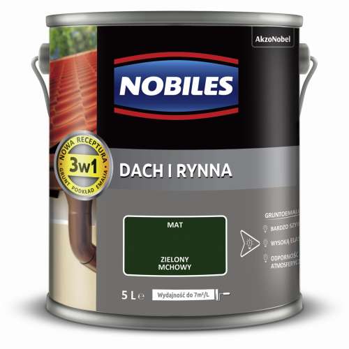 dach i rynna  5L (1).jpg