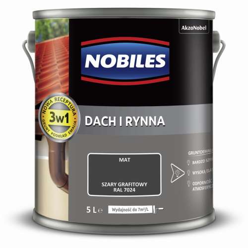 dach i rynna  5L (2).jpg