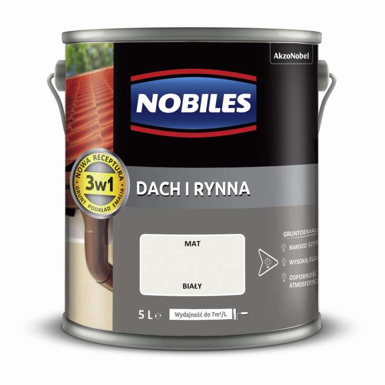 dach i rynna  5L (3).jpg
