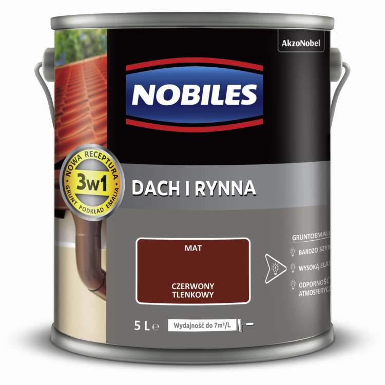 dach i rynna  5L (5).jpg