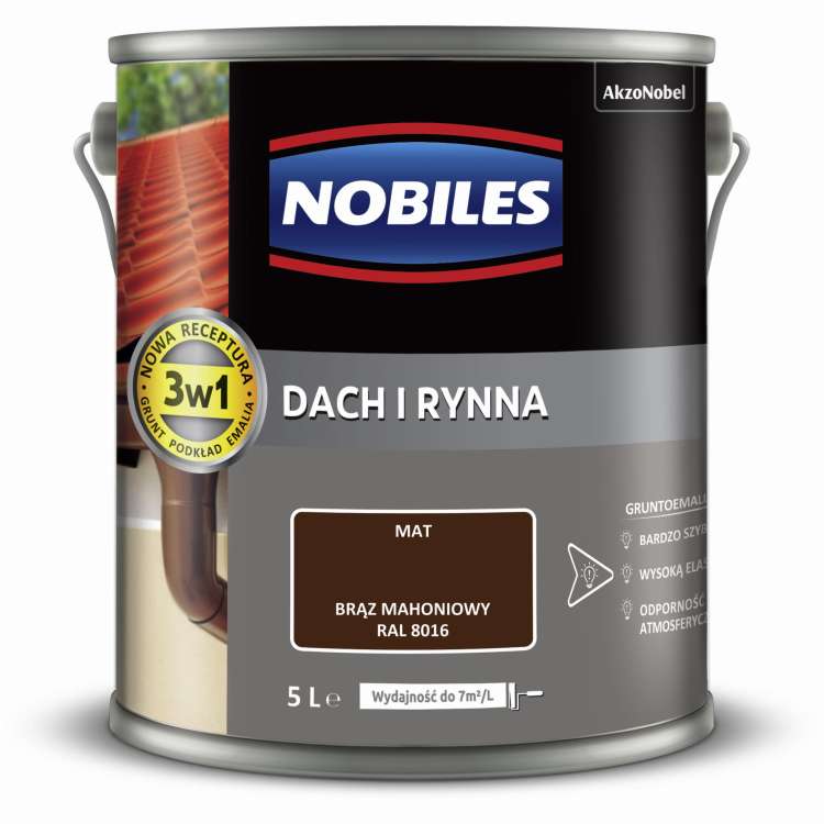 dach i rynna  5L (8).jpg