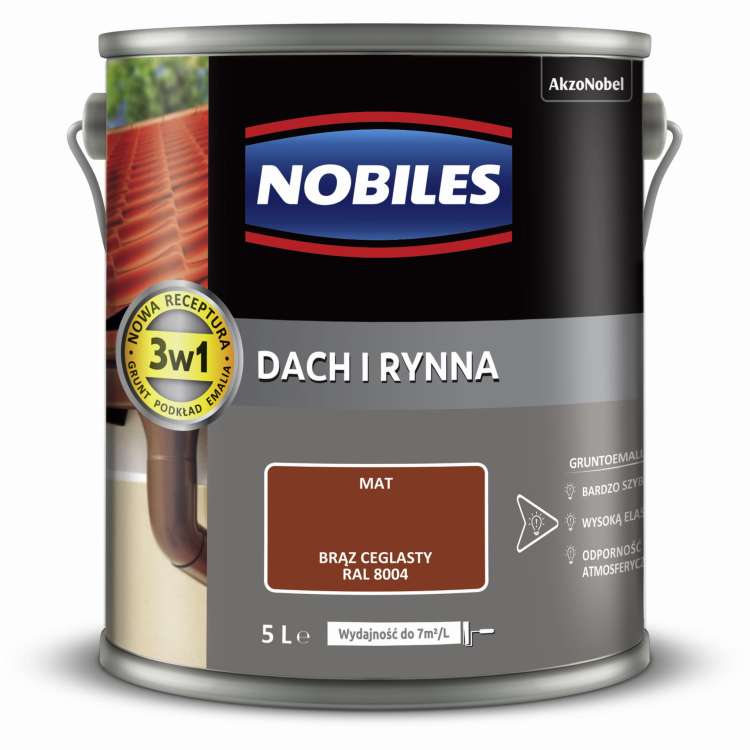 dach i rynna  5L (10).jpg