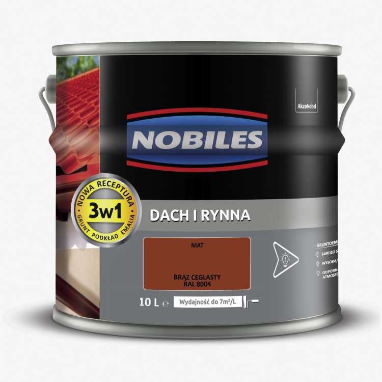dach i rynna  10L (10).jpg