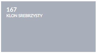 167 klon srebrzysty_.png