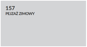 157 Pejzaż zimowy_.png