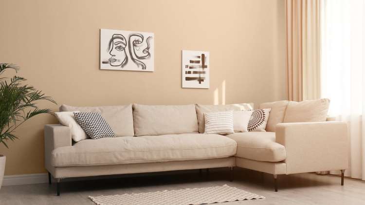 151 kwiat pustyni_3.jpg